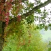 Jardin particulier ...